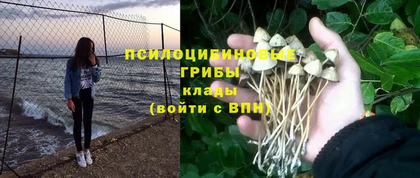 PSILOCYBIN Алзамай