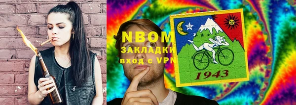 мдпв Каменка