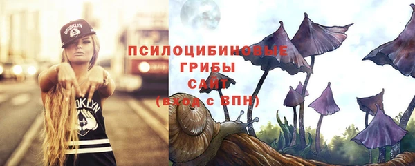 PSILOCYBIN Алзамай