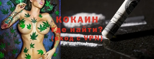 PSILOCYBIN Алзамай
