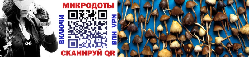 Галлюциногенные грибы Psilocybine cubensis  нарко площадка официальный сайт  Бирюч 
